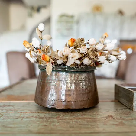 Apartmán Irini's House Afantou